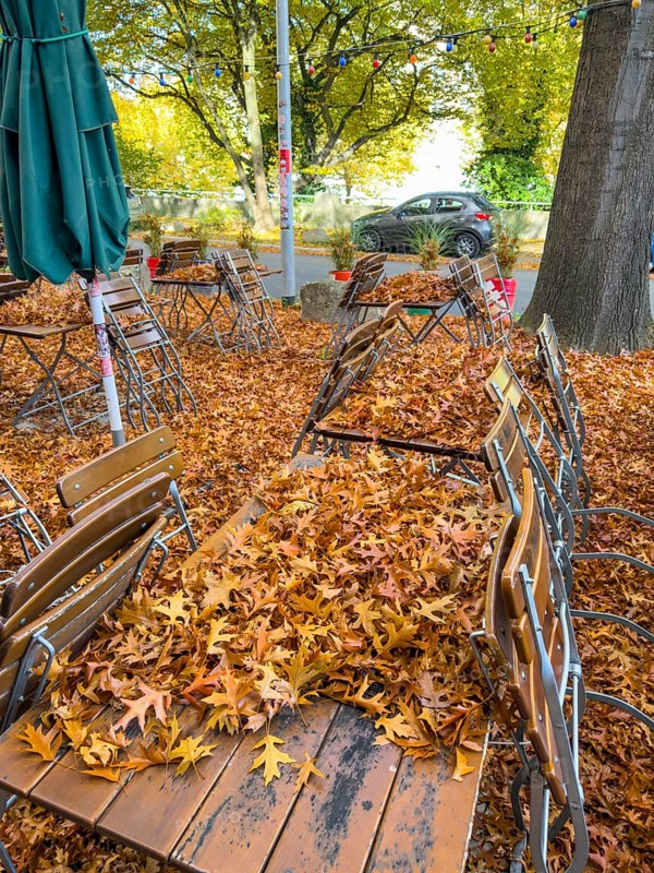 Autumn in town, car parked under deciduous tree, swamp oak, ground and vehicle covered with fallen leaves, Essen, North Rhine-Westphalia