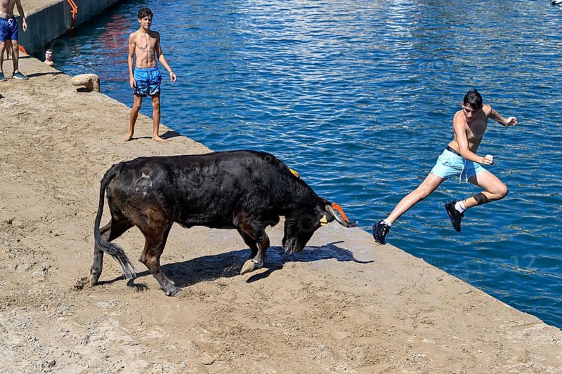 Bous a la Mar Fair, in English Bulls in the Sea, Bullfighting, Javea or Xàbia, Alicante Province, Comunidad Valenciana, Spain