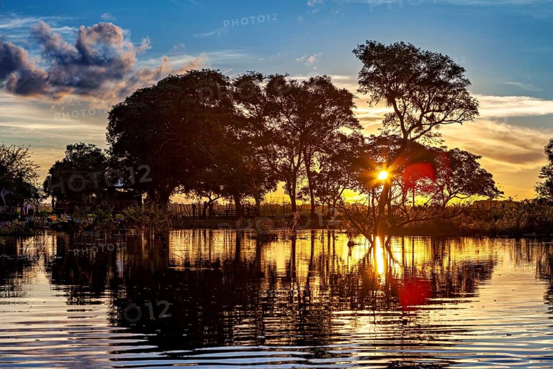 Sunset bathes the landscape in a golden light, trees are reflected in the water, The pampas swamps in the Amazon basin of Bolivia