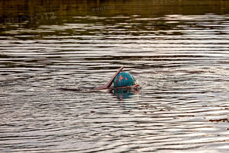 A ball floats on a calm water surface with gentle reflections of the surroundings, The Bolivian river dolphin (Inia boliviensis) in the pampas swamps of Bolivia