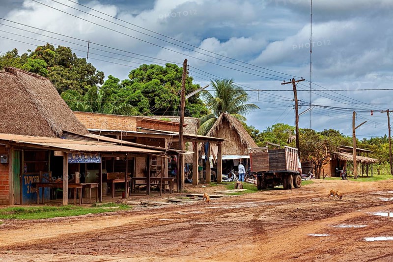 Rural scene with thatched buildings and a lorry on a muddy village road under a cloudy sky, houses of a village in the pampas swamps of Bolivia