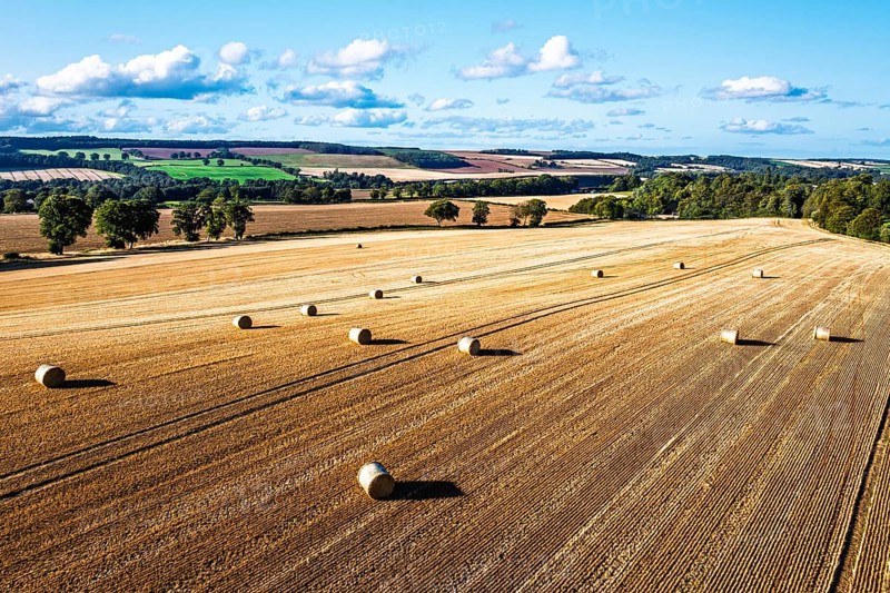 Straw bales in the Scottish fields from a drone, Southeast Scotland, UK