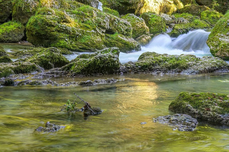Erlauf Gorge, Purgstall an der Erlauf, Lower Austria, Austria