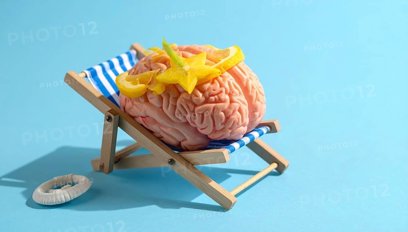 Brain relaxes on a sunbed under the summer sun, placed on a flat surface, symbol for mental health, AI generated