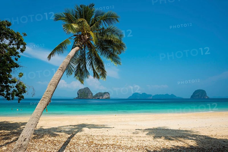 White sandy beach and coconut palms, Sunrise Beach, Koh Great white shark, Ko Ngai, Krabi Province, Trang, Southern Thailand, Andaman Sea, Thailand