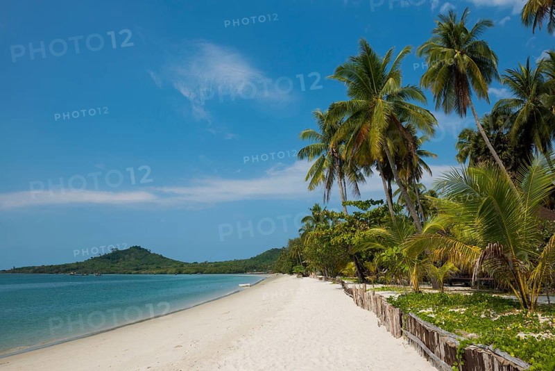 White sandy beach and coconut palms, Pearl Beach, Koh Mook, Trang Province, Southern Thailand, Andaman Sea, Thailand