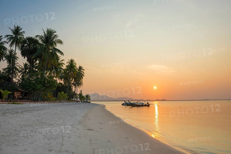 White sandy beach and coconut palms, sunset, Pearl Beach, Koh Mook, Trang Province, Southern Thailand, Andaman Sea, Thailand