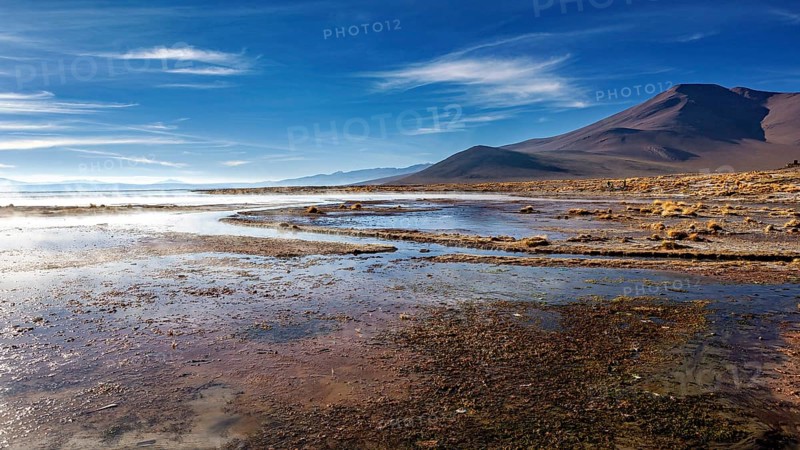 Vast steppe landscape with mountains in the background under a clear sky, The thermal springs of Polques in Bolivia