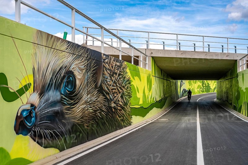 New bicycle tunnel at the junction of the B51 and Warendorfer Straße, in Münster, a bicycle and pedestrian tunnel, 150 metres long, 5.50 metres wide, crosses under the busy roads so that cyclists and pedestrians can pass without crossing, route to and from Münster city centre, visually designed with local motifs as murals, by Lackaffen.de, modern bicycle infrastructure, North Rhine-Westphalia, Germany