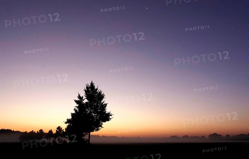 Landscape with morning fog, Summer, Saxony, Germany