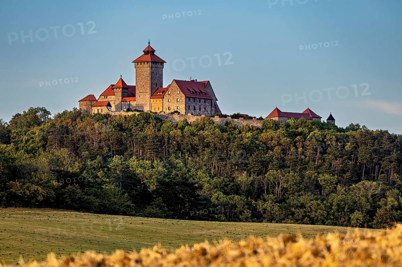 Medieval castle enthroned on a wooded hill above a golden field under a blue sky, Wachsenburg Castle in Thuringia near Erfurt