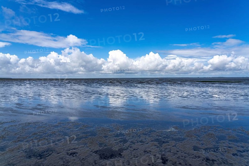 Wadden Sea between the Dutch coast near Eemshaven and the German North Sea island of Borkum, Wadden Sea National Park, UNESCO World Heritage Site, low tide, low water, clouds