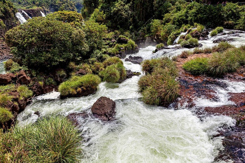 A lively river flows over rocks, surrounded by lush green vegetation, The Iguazu Falls between Argentina and Brazil