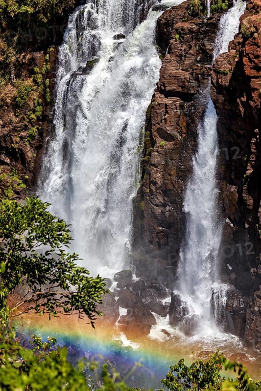 Bright rainbow in front of a powerful waterfall and green vegetation, The Iguazu Falls between Argentina and Brazil
