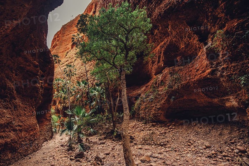 Bungle Bungles in Australia in the Outback, Australia