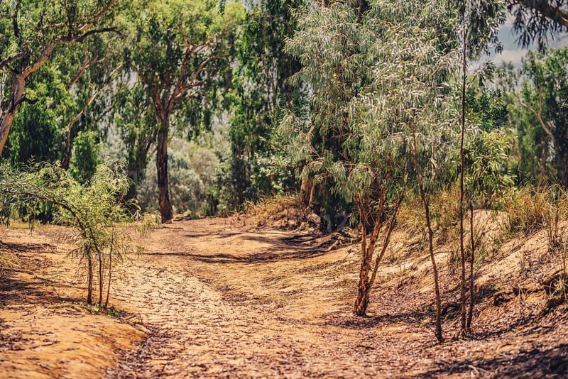 Outback Scenes Australia