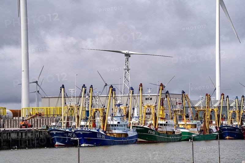 Fishing boats in Beatrixhaven, the seaport of Eemshaven, industrial harbour, at the quay, Netherlands