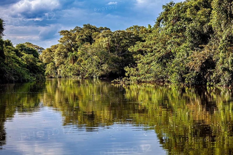 River landscape with dense forest and reflecting water under a cloudy sky, The Iguazu River between Argentina and Brazil