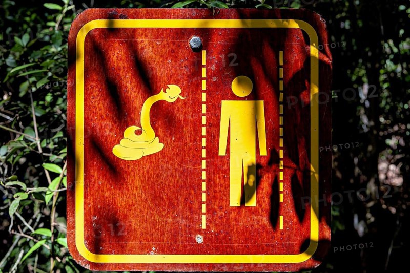 Warning sign in the forest with symbols of a snake and a human figure, An Orion Cecropian butterfly in the jungle of Iguazu Argentina (Historis odius)