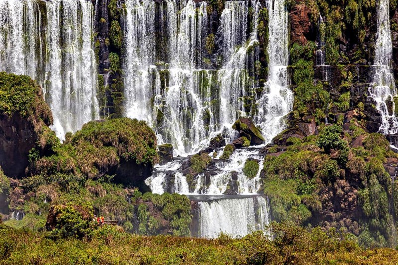 Close-up of lush moss-covered waterfalls and vegetation, The Iguazu Falls between Argentina and Brazil