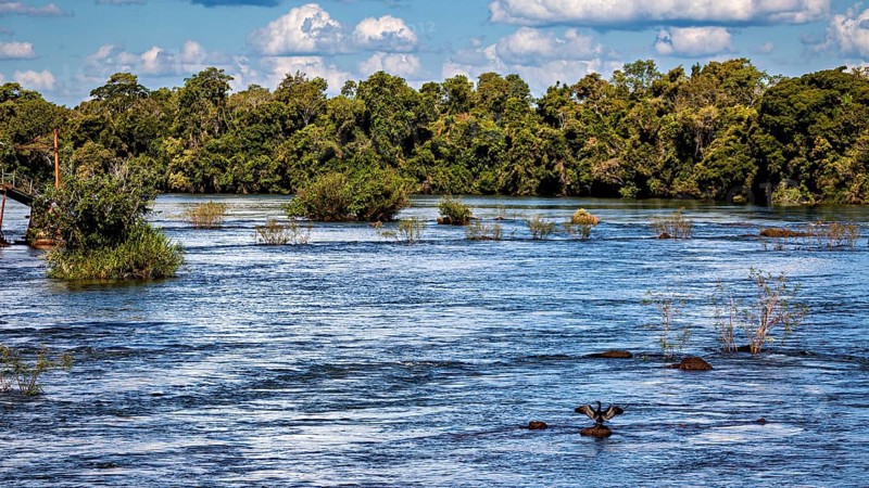 Wide river with trees along the riverbed and cloudy sky, The Iguazu River between Argentina and Brazil