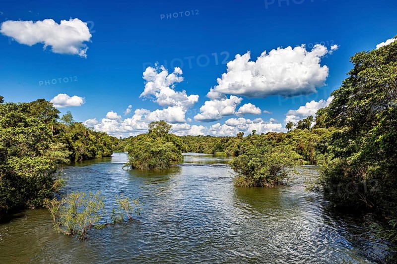Wide river with dense treetops and cloud formations in the blue sky, the Iguazu River between Argentina and Brazil