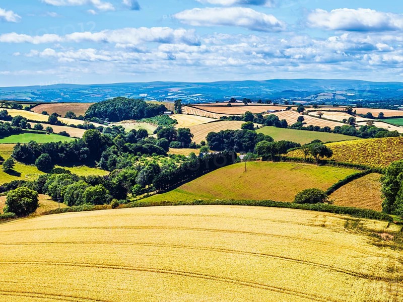 DefaultFarms and Fields over Torquay from a drone, Devon, England, United Kingdom