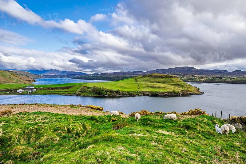 Farms over Loch Harport, Drynoch, Isle of Skye, Scotland, UK