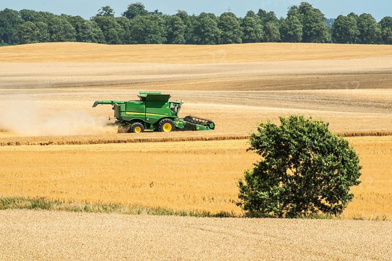 Landscape with threshing of grain with combine harvester at Ystad, Skåne county, Sweden, Scandinavia