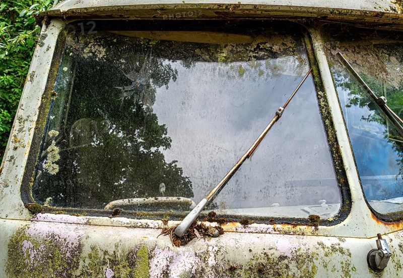 Old, weathered VW bus parked in a wooded area, Hesse, Germany