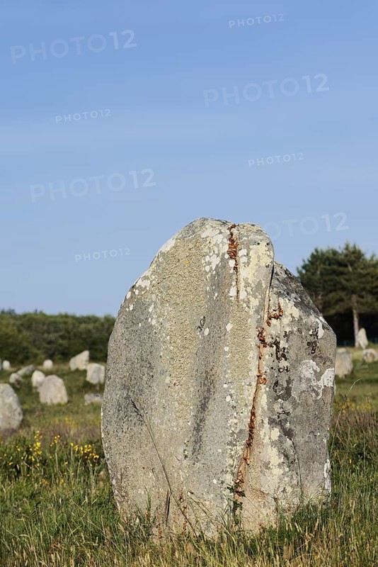 Megalithe, Alignements de Kermario, Carnac, Department of Morbihan, Brittany, France
