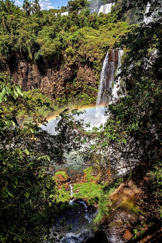 View through dense vegetation to a waterfall with a rainbow in the sunlight, The Iguazu Falls between Argentina and Brazil