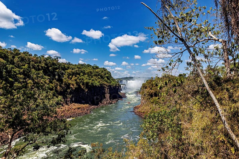 River and waterfall with surrounding lush greenery, The Iguazu Falls between Argentina and Brazil