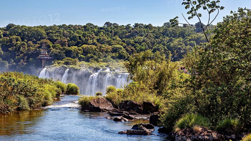 Path to a waterfall, surrounded by trees and vegetation, The Iguazu Falls between Argentina and Brazil
