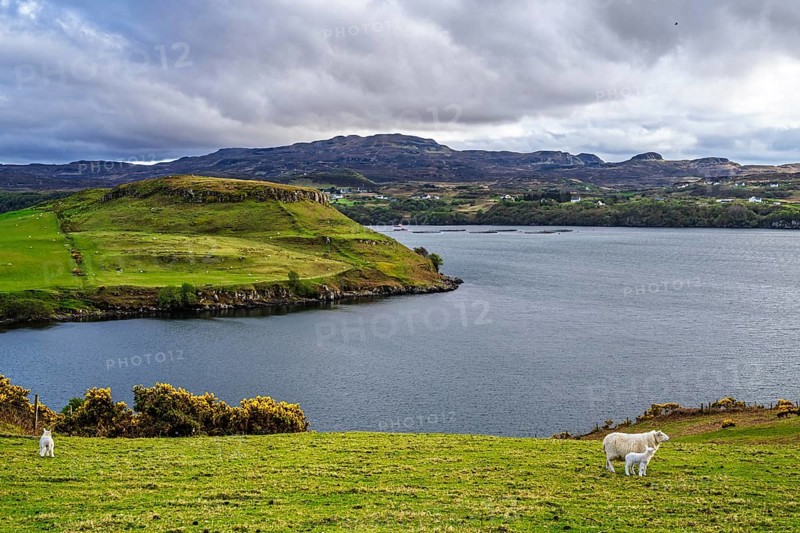 Farms over Loch Harport, Drynoch, Isle of Skye, Scotland, UK