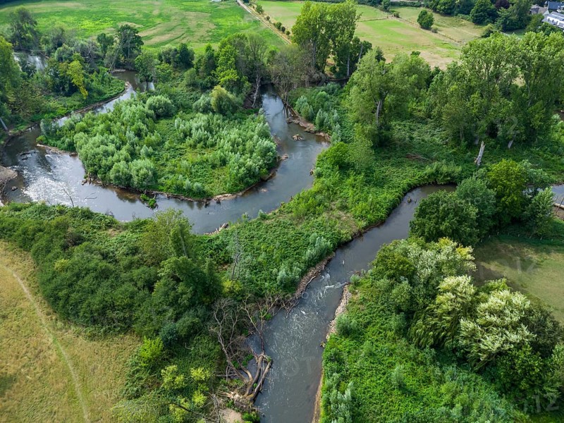 Renaturalised Erft near Neuss, North Rhine-Westphalia, Germany