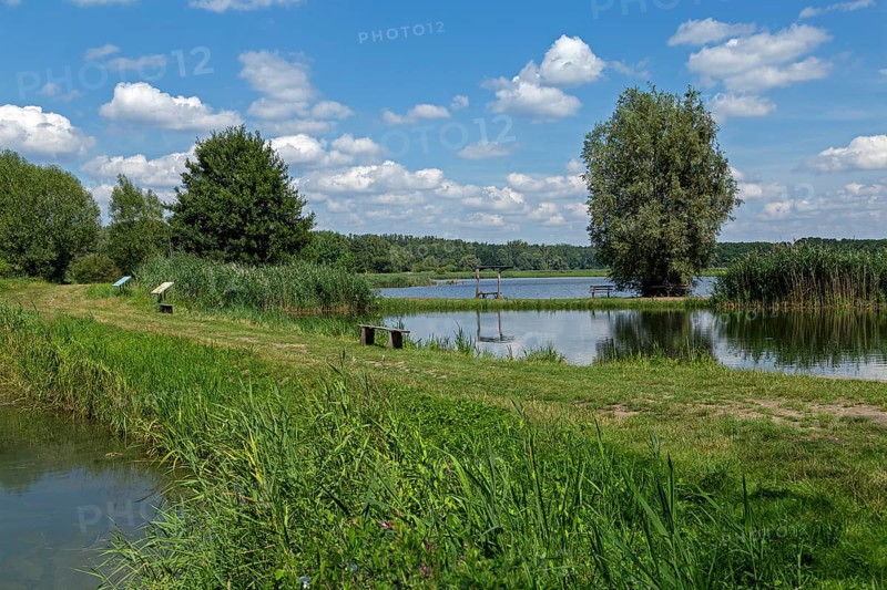 Fish ponds, Fischers Land Boek, Mecklenburg Lake District, Mecklenburg-Western Pomerania, Germany