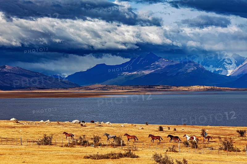 Vast steppe with horses in front of imposing mountains and dramatic skies, A gaucho with his horses in the landscape of Patagonia in Argentina