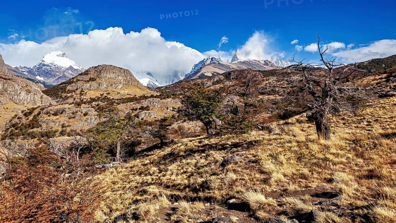 Mountain landscape with dry trees and grasses under a partly cloudy sky, The landscape of Patagonia near El Chalten in Argentina