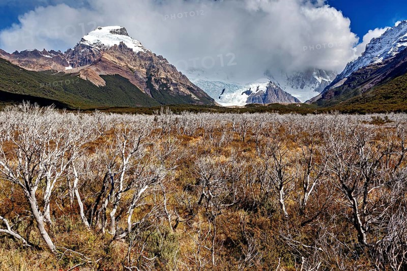 View of snow-capped mountains under dramatic clouds over a wild plain with shrubs, The Patagonian landscape near El Chalten in Argentina