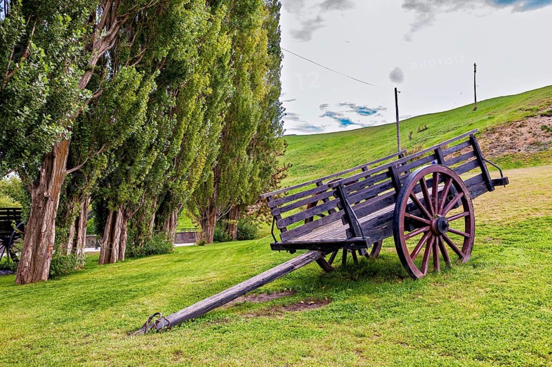 Abandoned wooden wagon on a green hill next to a row of trees, Historic horse-drawn wagon or carriage with wagon wheels in Patagonia