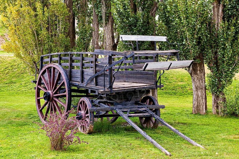 An old wooden wagon with flowers in the foreground under trees, Historic horse-drawn wagon or carriage with wagon wheels in Patagonia