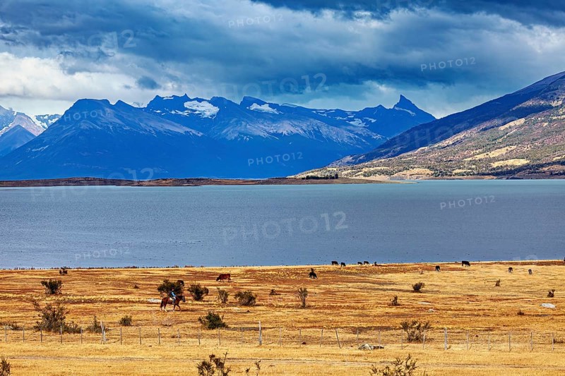 A vast landscape with a lake and distant mountains under a cloudy sky, The Patagonian landscape near El Chalten in Argentina