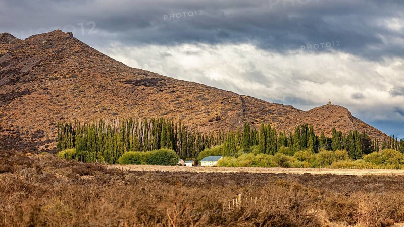 Hilly landscape with trees and clouds adding to the dramatic atmosphere, The Patagonian landscape near El Chalten in Argentina
