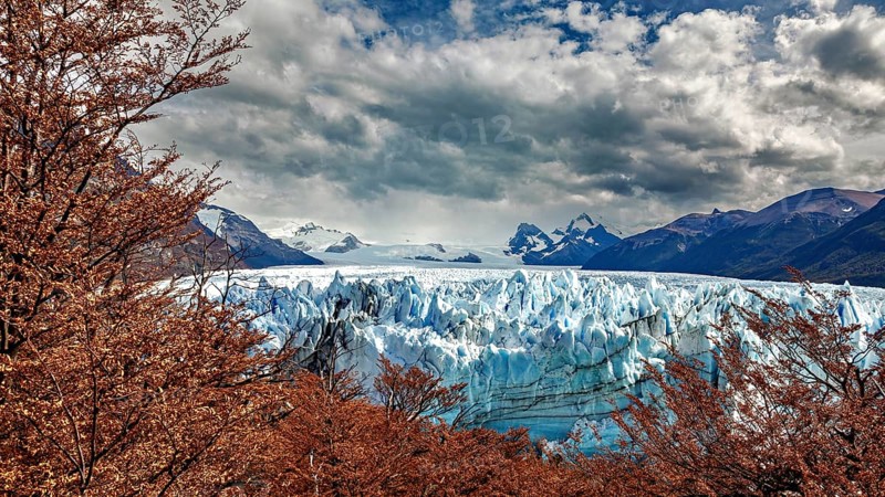 Blue glacier in the middle of a mountainous landscape with dramatic clouds and autumn leaves, The Perito Moreno glacier in Argentina