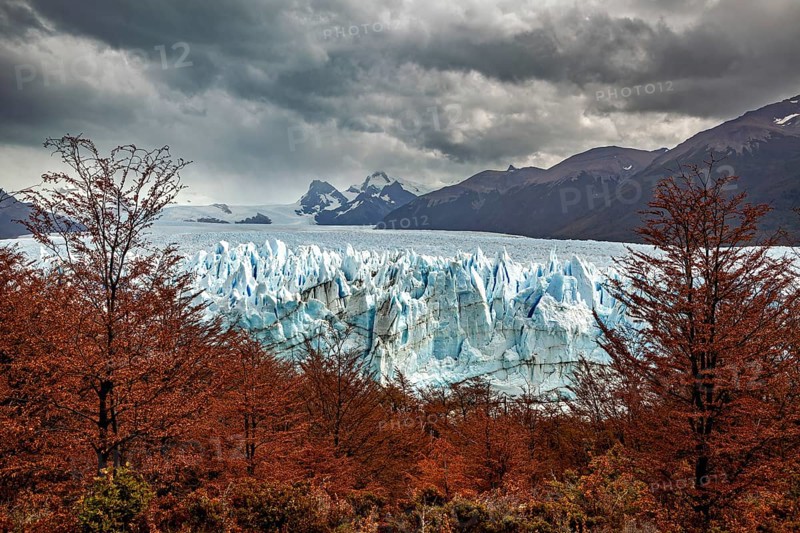 A glacier in a dramatic landscape with autumn trees and dark clouds over the mountains in the background, The Perito Moreno glacier in Argentina