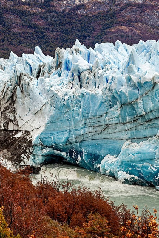 An imposing glacier stretches through a mountainous landscape, surrounded by autumn-coloured trees and a grey sky, the Perito Moreno glacier in Argentina