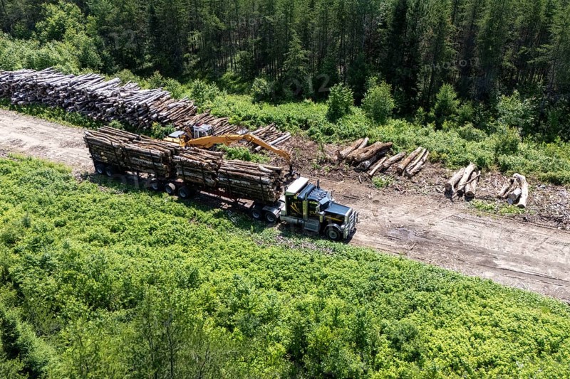 Tractor loading timber on a heavy hauler, Region of La Mauricie, Province of Quebec, Canada, North America