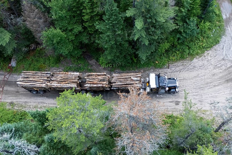 Heavy hauler transporting timber, Region of La Mauricie, Province of Quebec, Canada, North America