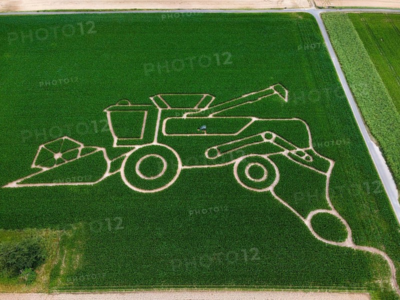The maize maze of the Maize Spirits near Weißkirchen, near Frankfurt am Main, shows a combine harvester in summer 2025 under the motto Agriculture. The maze opens on 26 July 2025 (aerial photo with a drone), Oberursel Weißkirchen, Hesse, Germany